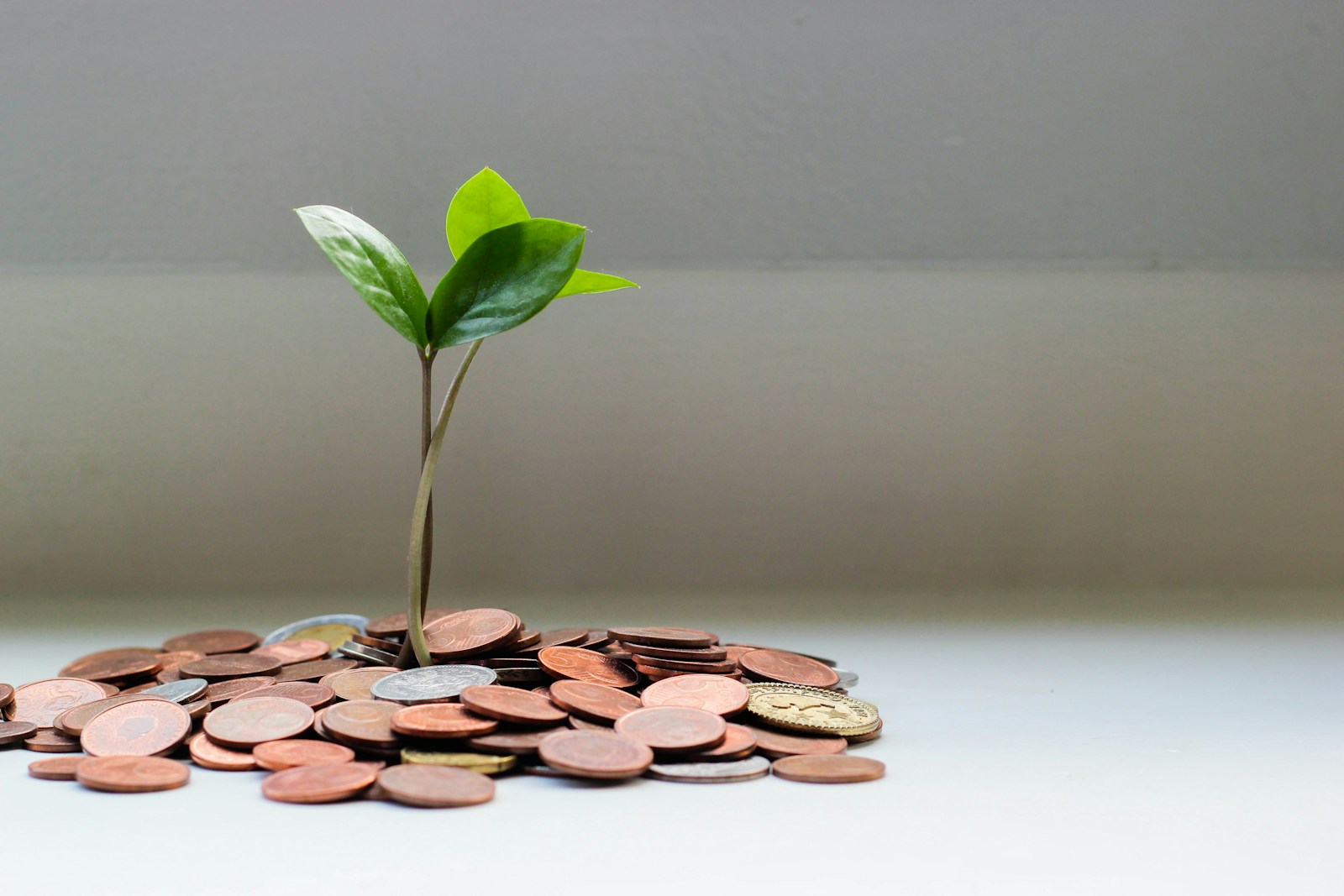 Payment System Integration for UK Businesses: FPS, Open