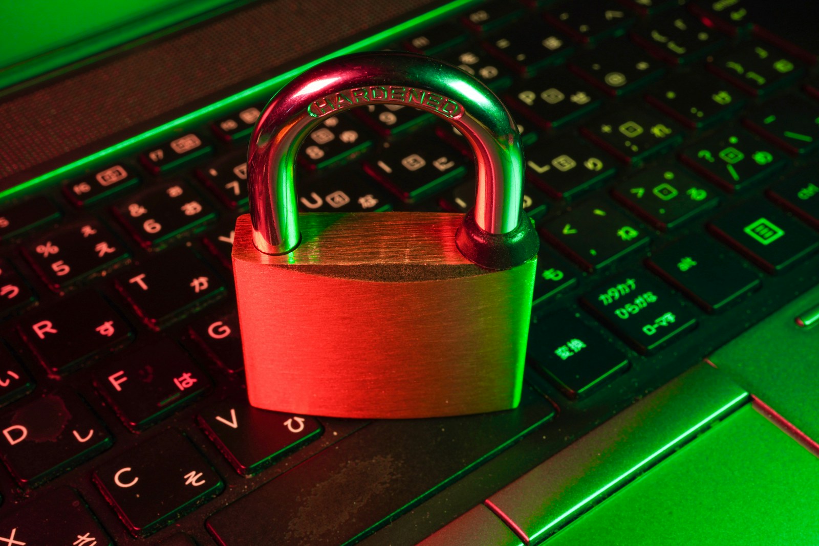 SaaS vs Custom Web Application: How UK Businesses